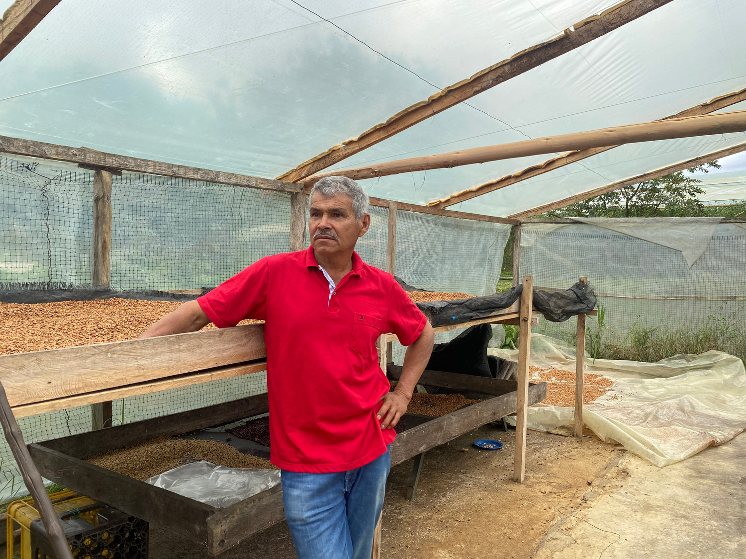 Pink Bourbon van finca Buenos Aires