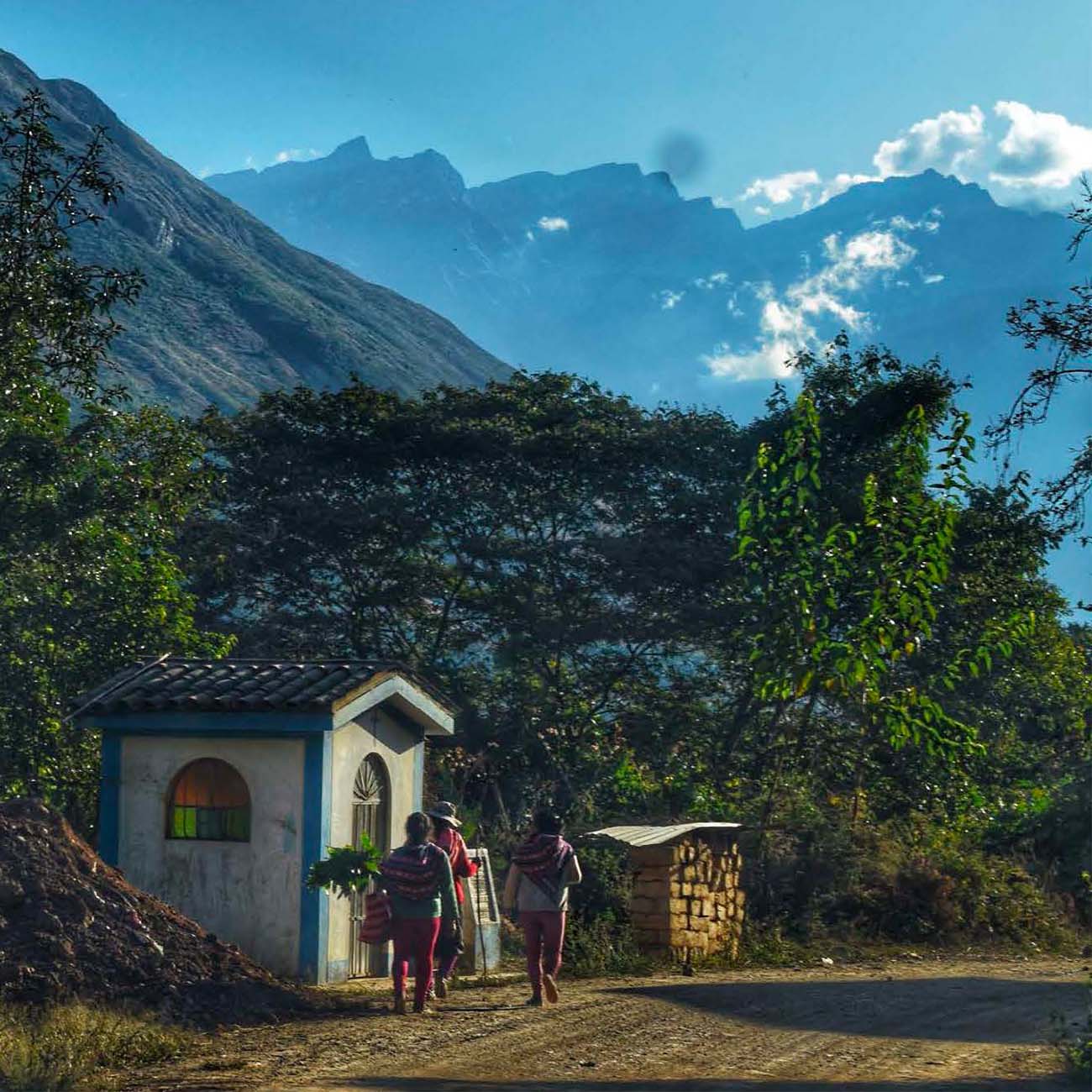 Peru Pacaybamba Community koffie