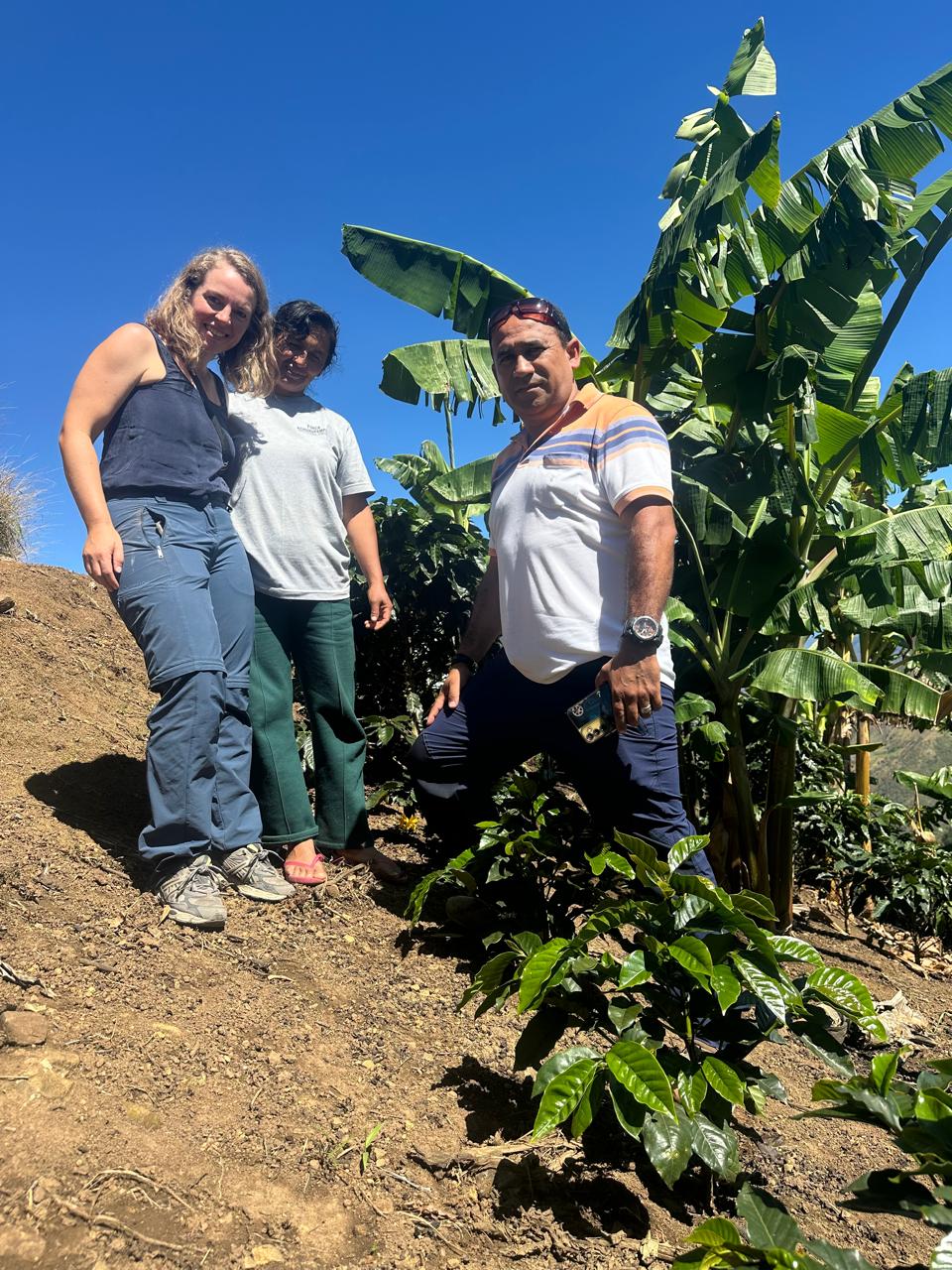 2026 PRESALE Peru - Finca Churupampa koffie